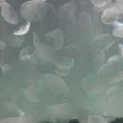 ヒメ日記 2026/03/04 09:00 投稿 まい 栃木小山ちゃんこ