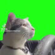 ヒメ日記 2026/03/22 12:00 投稿 まい 栃木小山ちゃんこ