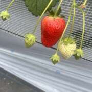 ヒメ日記 2026/03/23 09:00 投稿 まい 栃木小山ちゃんこ