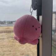 ヒメ日記 2026/04/01 12:24 投稿 まい 栃木小山ちゃんこ