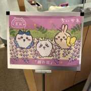 ヒメ日記 2026/04/03 17:46 投稿 まい 栃木小山ちゃんこ