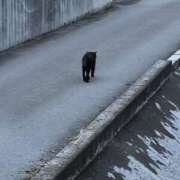 ヒメ日記 2026/07/07 12:06 投稿 まい 栃木小山ちゃんこ