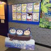 ヒメ日記 2026/08/30 09:04 投稿 まい 栃木小山ちゃんこ