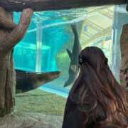 ヒメ日記 2026/01/18 21:41 投稿 ちょこ LEVEL1