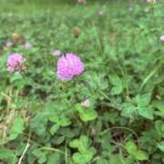 ヒメ日記 2025/07/11 09:48 投稿 矢口もね 美魔女エステ