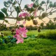 ヒメ日記 2025/09/04 09:54 投稿 矢口もね 美魔女エステ