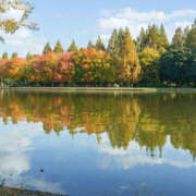 矢口もね 12月4日(木) 10時〜20時 出勤してます🩷 美魔女エステ