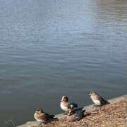 矢口もね 冷たい風とあたたかな時間 美魔女エステ