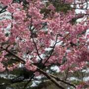 矢口もね 雨の日は癒しの時間に…☔️🌸 美魔女エステ