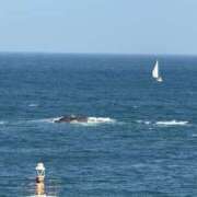 ヒメ日記 2025/06/25 09:00 投稿 矢口もね 麗しいマダム