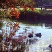 ヒメ日記 2025/11/13 10:35 投稿 矢口もね 麗しいマダム