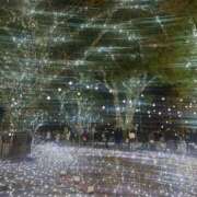 矢口もね 1211()  麗しいマダム