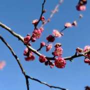 ヒメ日記 2026/01/27 12:59 投稿 矢口もね 麗しいマダム