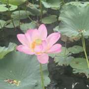 ヒメ日記 2025/07/12 14:44 投稿 矢口もね 色気あるワイフ