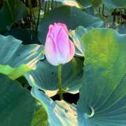 ヒメ日記 2025/08/14 22:33 投稿 矢口もね 色気あるワイフ