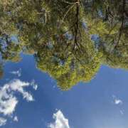 ヒメ日記 2025/11/14 12:32 投稿 矢口もね 色気あるワイフ