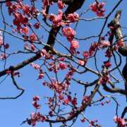 矢口もね ※無題 色気あるワイフ