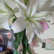 ヒメ日記 2025/10/27 01:06 投稿 つかさ モアグループ神栖人妻花壇