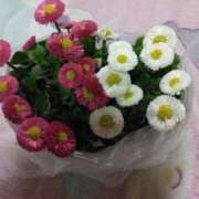 ヒメ日記 2025/11/01 13:16 投稿 つかさ モアグループ神栖人妻花壇