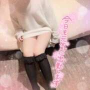 ヒメ日記 2025/07/06 15:43 投稿 りな/敏感！逆夜這い☆動画撮影 ハレンチ倶楽部　神戸店