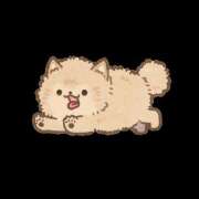 ヒメ日記 2026/03/16 22:01 投稿 めい ミセスロマン(上尾)