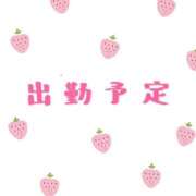 ヒメ日記 2026/04/19 12:46 投稿 めい ミセスロマン(上尾)