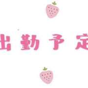 ヒメ日記 2026/04/29 17:13 投稿 めい ミセスロマン(上尾)