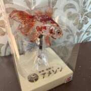 ヒメ日記 2025/10/11 09:00 投稿 さら 小岩ハイブリッドマッサージ