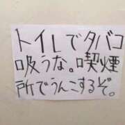ヒメ日記 2026/02/25 17:00 投稿 さら 小岩ハイブリッドマッサージ