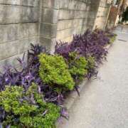 ヒメ日記 2026/03/14 18:00 投稿 さら 小岩ハイブリッドマッサージ