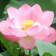 ヒメ日記 2026/04/05 18:30 投稿 さら 小岩ハイブリッドマッサージ