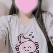 ヒメ日記 2025/06/17 01:12 投稿 はなび 川越ぽちゃまに