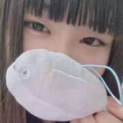 ヒメ日記 2025/06/27 17:42 投稿 はなび 川越ぽちゃまに