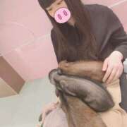 ヒメ日記 2025/07/30 04:02 投稿 はなび 川越ぽちゃまに