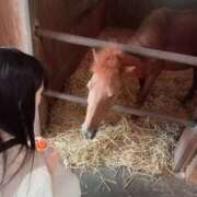 ヒメ日記 2025/08/20 05:42 投稿 はなび 川越ぽちゃまに