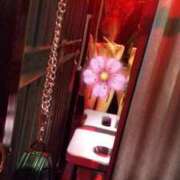 ヒメ日記 2025/06/10 12:46 投稿 なおこ 広島痴女性感フェチ倶楽部