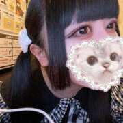 ヒメ日記 2025/06/02 16:07 投稿 アコ(奥方) 奥様幕府