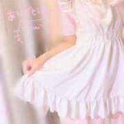 ヒメ日記 2025/06/08 18:16 投稿 しずく 横浜ひよこ倶楽部