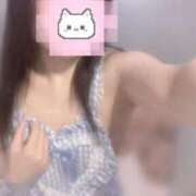 ヒメ日記 2025/06/08 19:26 投稿 しずく 横浜ひよこ倶楽部