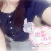 ヒメ日記 2025/06/11 10:29 投稿 しずく 横浜ひよこ倶楽部