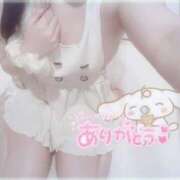 ヒメ日記 2025/06/12 23:16 投稿 しずく 横浜ひよこ倶楽部