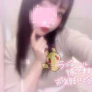 ヒメ日記 2025/06/13 07:26 投稿 しずく 横浜ひよこ倶楽部