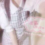 ヒメ日記 2025/06/14 10:26 投稿 しずく 横浜ひよこ倶楽部