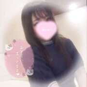 ヒメ日記 2025/06/15 19:36 投稿 しずく 横浜ひよこ倶楽部