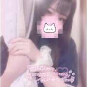 ヒメ日記 2025/06/17 18:16 投稿 しずく 横浜ひよこ倶楽部