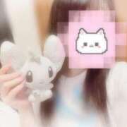 ヒメ日記 2025/06/19 23:16 投稿 しずく 横浜ひよこ倶楽部