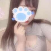 ヒメ日記 2025/06/23 12:46 投稿 しずく 横浜ひよこ倶楽部