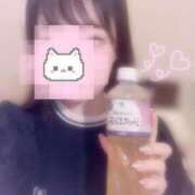 ヒメ日記 2025/06/25 12:09 投稿 しずく 横浜ひよこ倶楽部