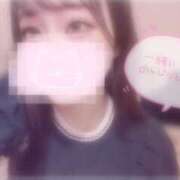 ヒメ日記 2025/06/25 18:16 投稿 しずく 横浜ひよこ倶楽部