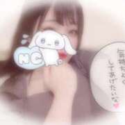 ヒメ日記 2025/06/26 07:36 投稿 しずく 横浜ひよこ倶楽部